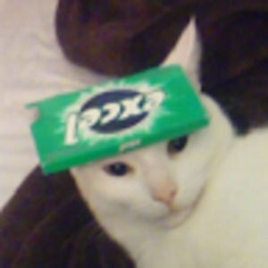 Meet your Posher, Ember